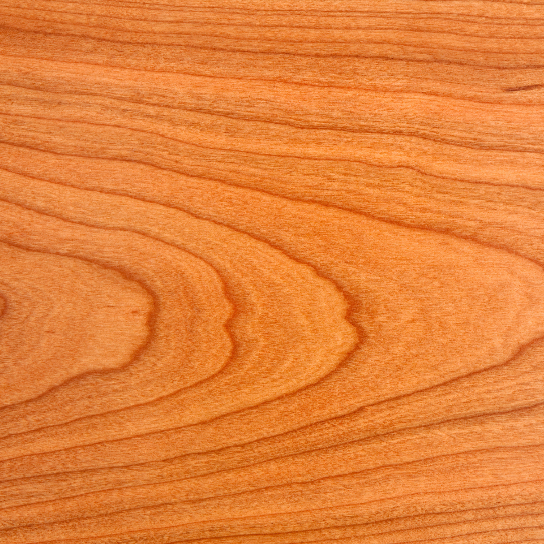 Paragraf metniniz 10